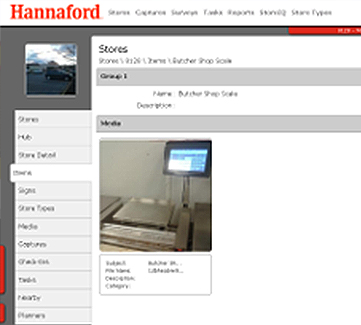 AccuStore Hannaford Survey